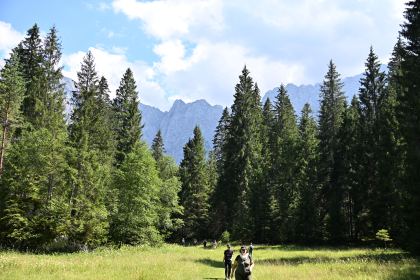 DSC_4137.JPG