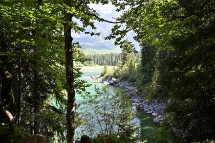 DSC_4171.JPG