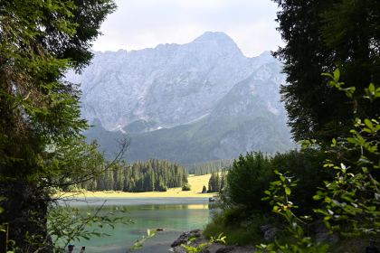 DSC_4216.JPG