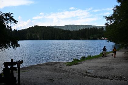 DSC_4235.JPG