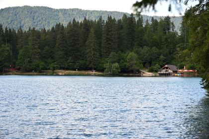 DSC_4241.JPG