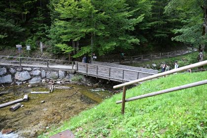 DSC_4254.JPG