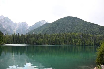 DSC_4259.JPG