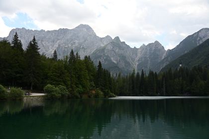 DSC_4261.JPG