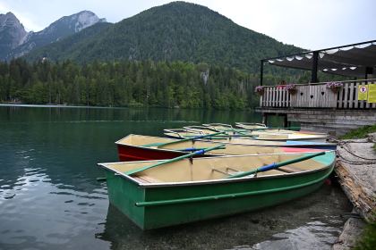 DSC_4266.JPG