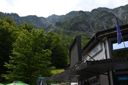 DSC_4317.JPG