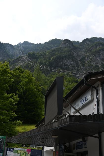 DSC_4319.JPG