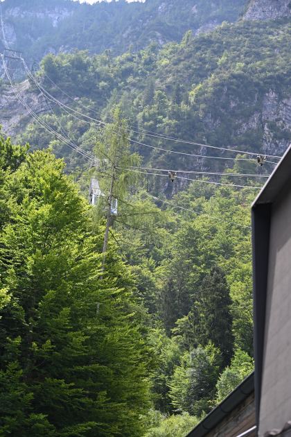DSC_4331.JPG