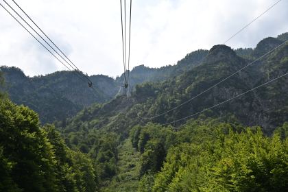 DSC_4339.JPG