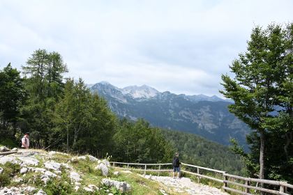 DSC_4410.JPG