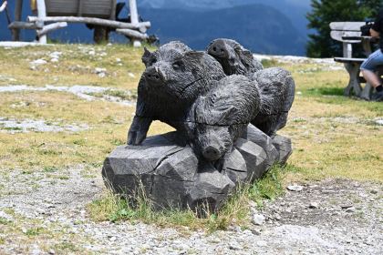 DSC_4417.JPG