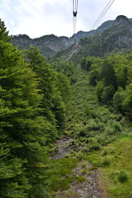 DSC_4450.JPG