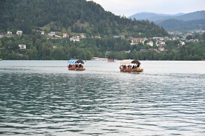 DSC_4457.JPG