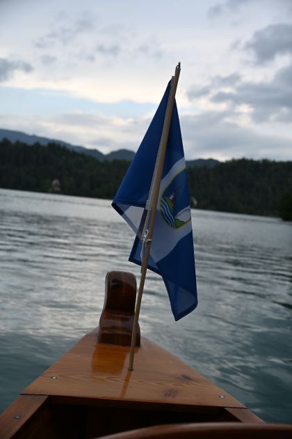 DSC_4462.JPG