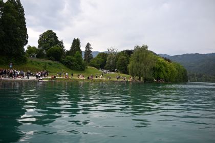 DSC_4477.JPG