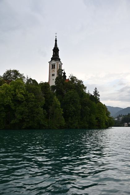 DSC_4502.JPG