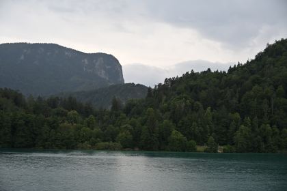 DSC_4514.JPG