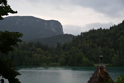 DSC_4520.JPG
