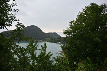 DSC_4529.JPG