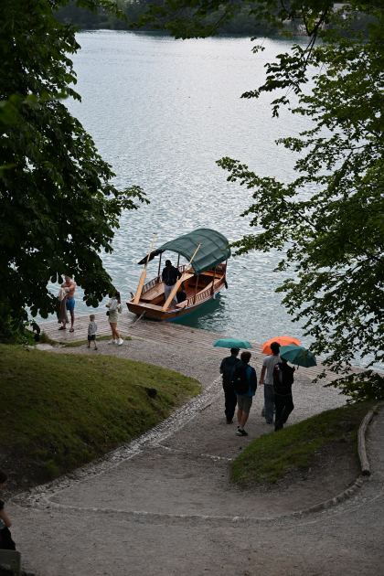 DSC_4531.JPG