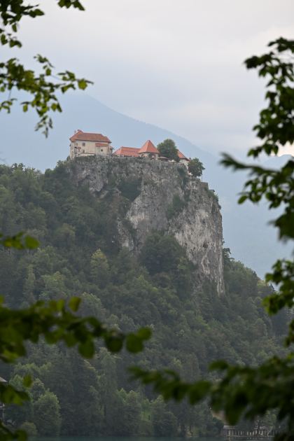 DSC_4546.JPG
