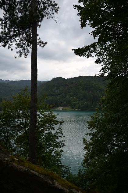 DSC_4548.JPG