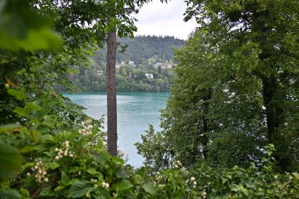DSC_4549.JPG