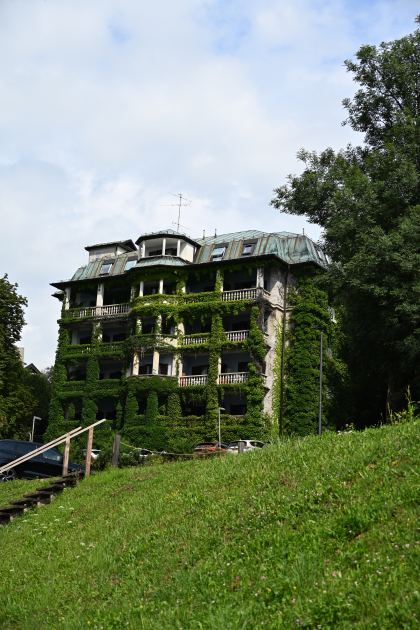 DSC_4586.JPG