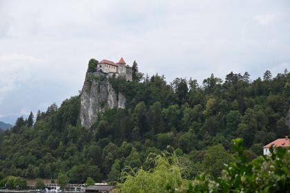 DSC_4587.JPG