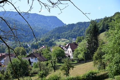 DSC_4677.JPG
