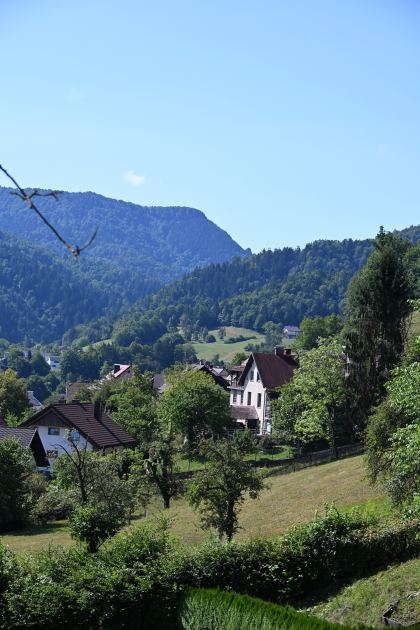 DSC_4679.JPG