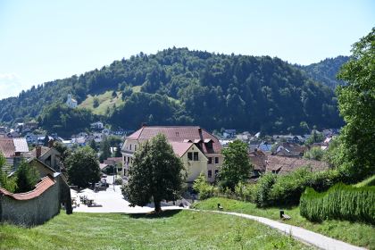 DSC_4708.JPG