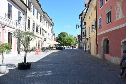 DSC_4731.JPG