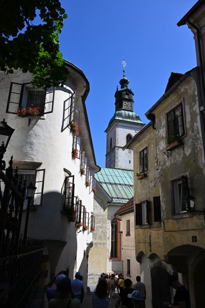 DSC_4749.JPG