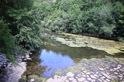 DSC_4765.JPG