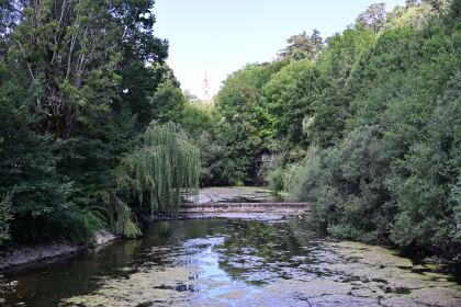 DSC_4766.JPG