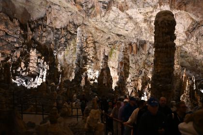 DSC_4838.JPG