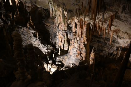 DSC_4846.JPG