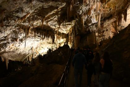 DSC_4853.JPG