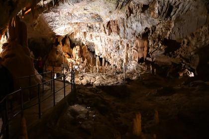 DSC_4888.JPG