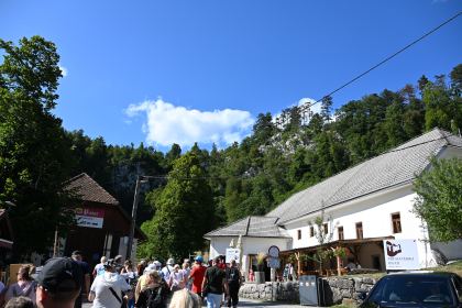 DSC_4956.JPG