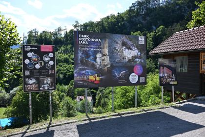 DSC_4957.JPG