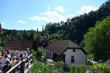 DSC_4971.JPG