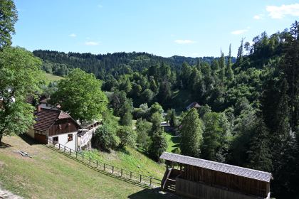 DSC_4979.JPG
