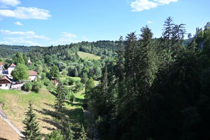 DSC_4995.JPG