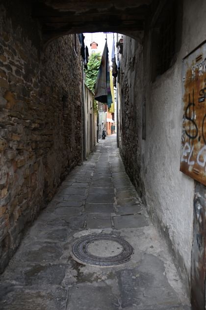 DSC_5100.JPG