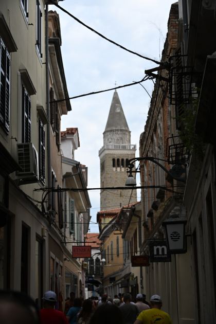 DSC_5108.JPG
