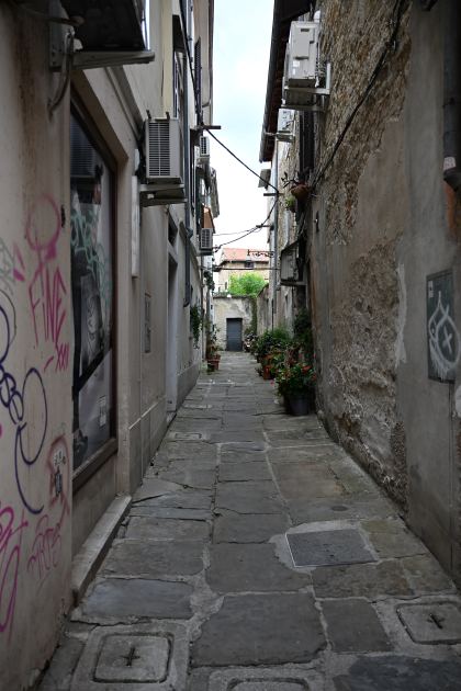 DSC_5111.JPG