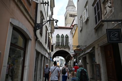 DSC_5113.JPG