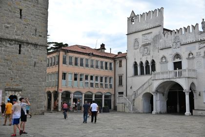 DSC_5125.JPG